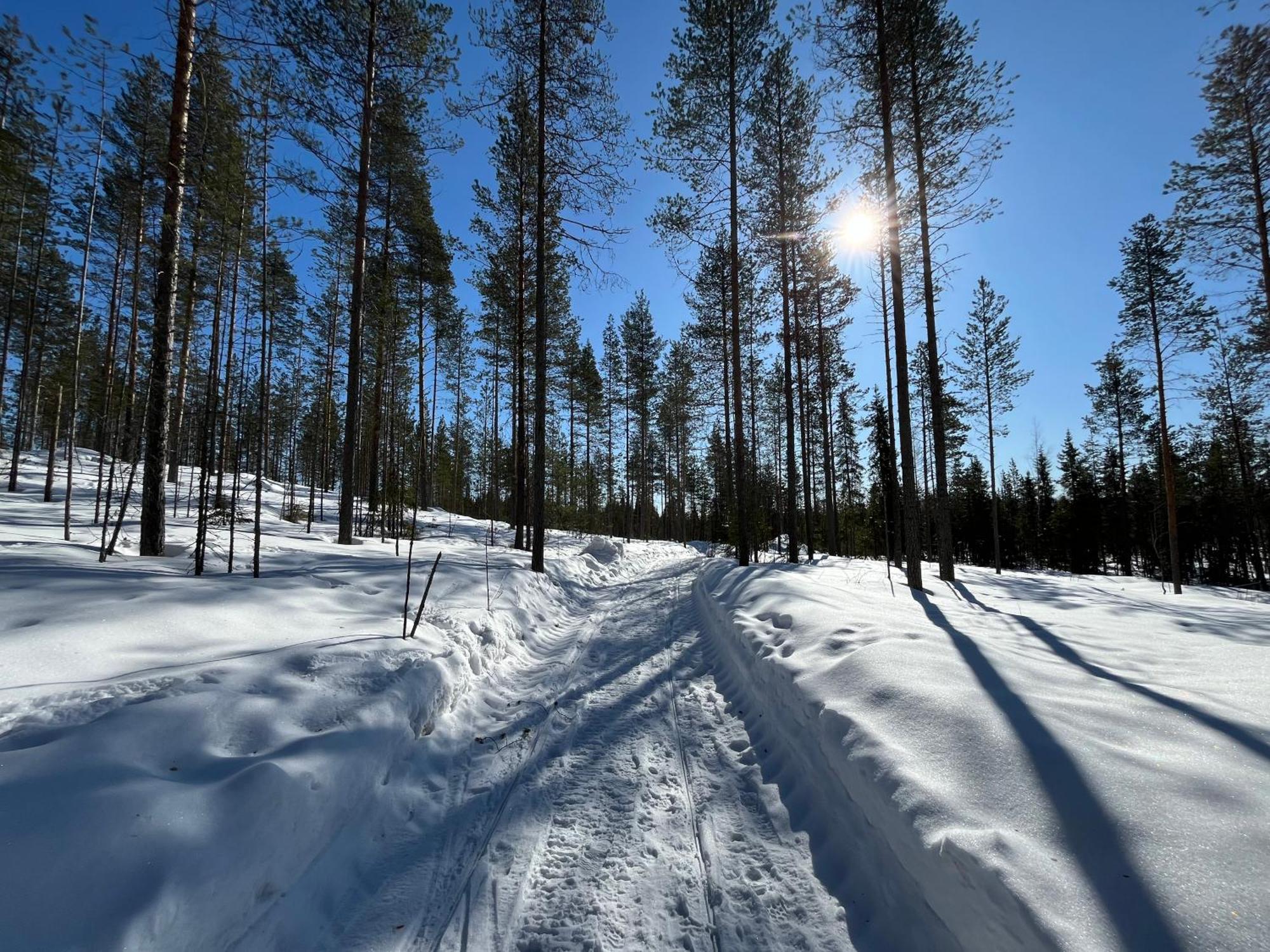 Log Cottages In 10 Min From Santa Claus Village-Sauna&Freeparking Рованіемі Екстер'єр фото