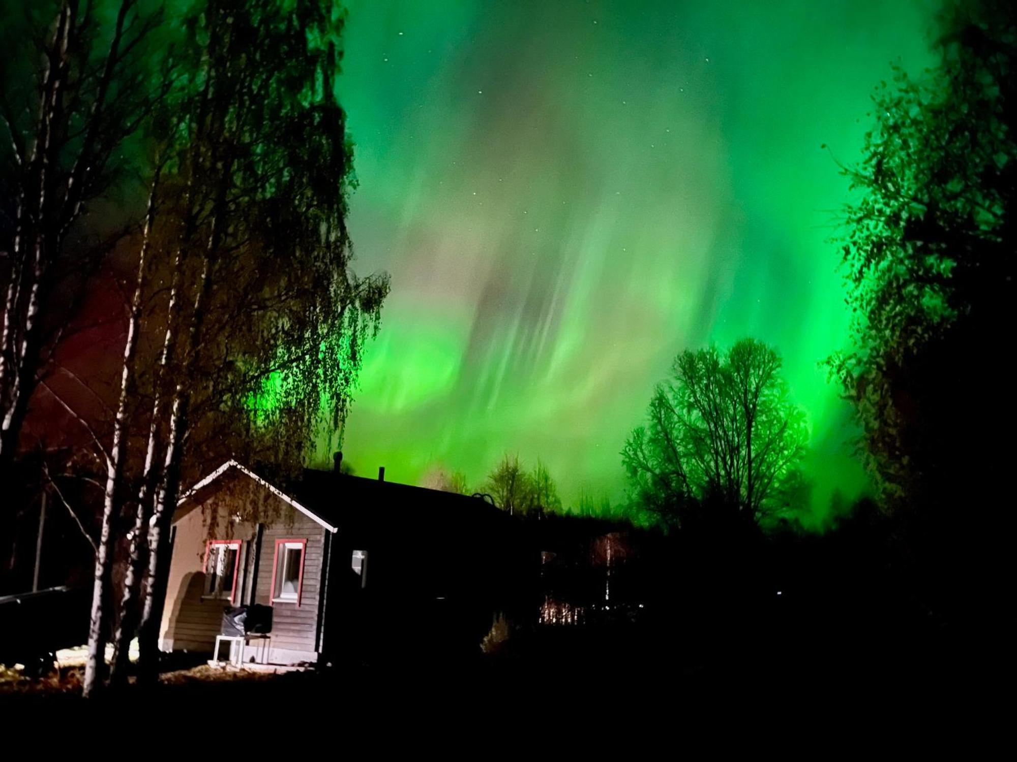 Log Cottages In 10 Min From Santa Claus Village-Sauna&Freeparking Рованіемі Екстер'єр фото